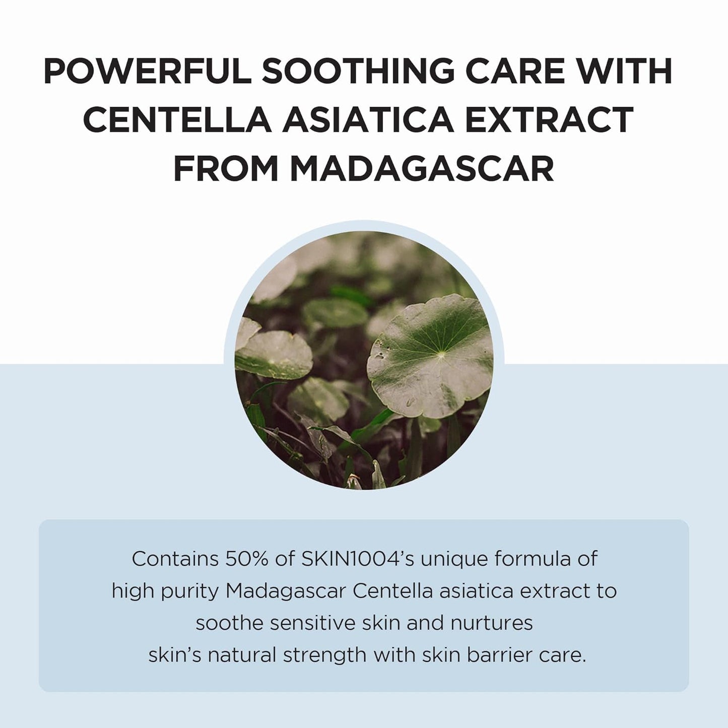 SKIN1004 - Madagascar Centella Hyalu-Cica Moisture Cream